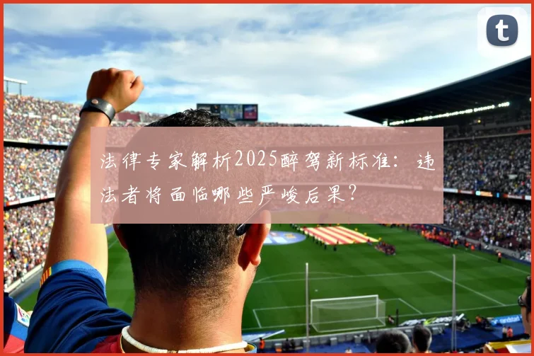 法律专家解析2025醉驾新标准：违法者将面临哪些严峻后果？
